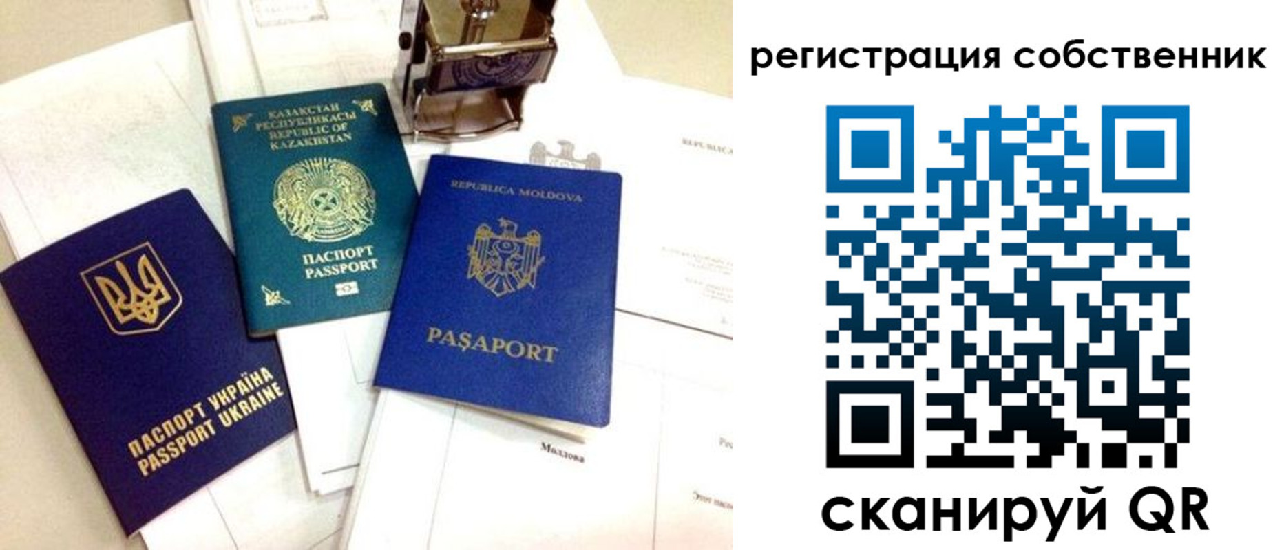 временная регистрация поиск в Королёве